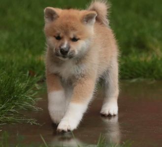 253676309 5021121401249433 305238311604569128 n