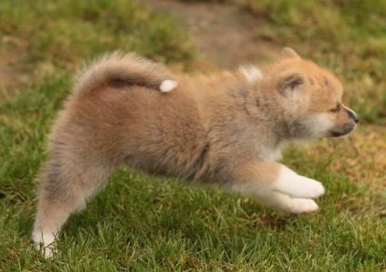 253683868 5021117021249871 6726580930200926895 n