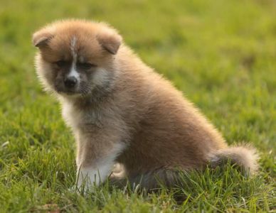 253683868 5021121684582738 7759339895360698953 n