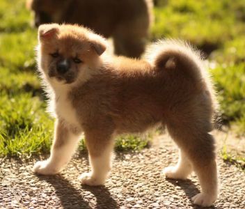 253706646 5021123621249211 3145875303144608939 n