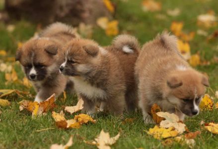 253711714 5021122041249369 2710990434466130148 n