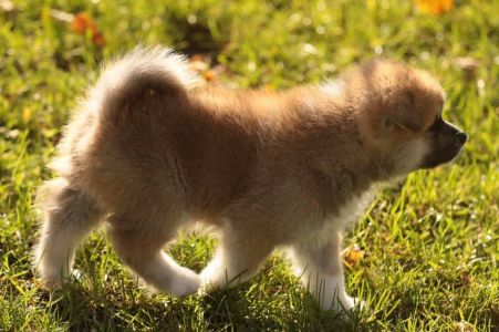 253711862 5021119011249672 7466016767678241876 n