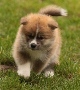 253715991 5021117807916459 6831968686776963769 n