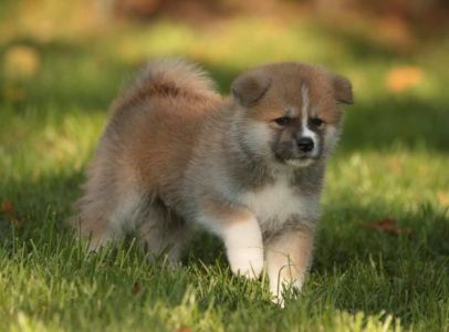 253724866 5021123761249197 2651165567465827225 n