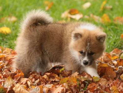 253734312 5021116654583241 4930126087337184615 n