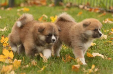 253734325 5021117491249824 5480655653753543632 n