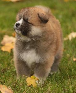 253734394 5021117974583109 289780273249646025 n