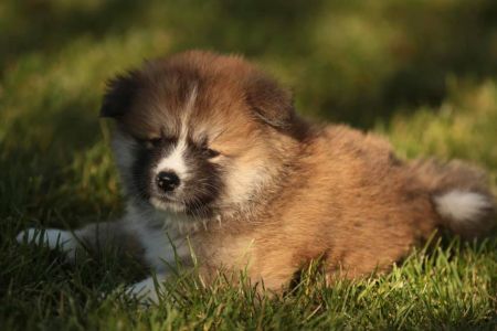 253739528 5021121261249447 8265441055388524897 n