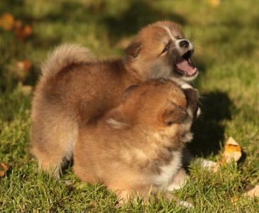 253746852 5021120237916216 6720848277709778846 n