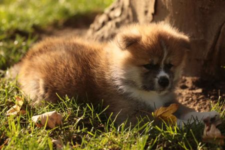 253761768 5021117787916461 4783382148506707367 n