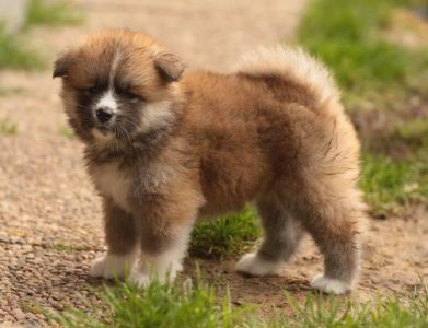 253761782 5021122457915994 927111159596181446 n