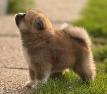 253762633 5021121894582717 6576155272398815107 n