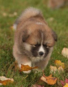 253769750 5021120687916171 4406443857986917419 n