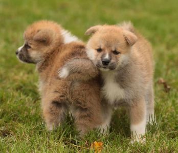 253771651 5021116184583288 7164993999948664721 n