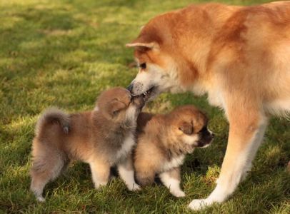 253771674 5021117947916445 2180231827416832794 n