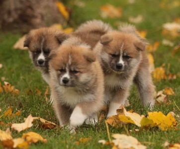 253775385 5021120581249515 8950374927299960389 n