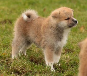 253787290 5021121727916067 5654596489114960257 n