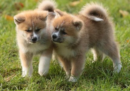 253814128 5021120847916155 4776925217360099848 n