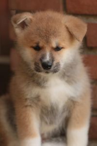 253843228 5021123211249252 7926278862618582601 n