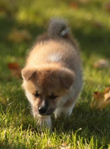 253880965 5021120254582881 5355138063437922633 n