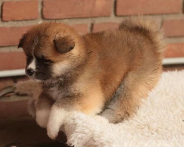 253898117 5021122294582677 1010956682694998640 n