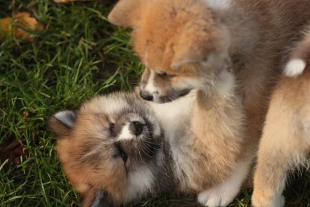 253898129 5021121531249420 9016107764123262621 n