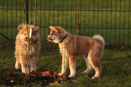 265361322 5133133220048250 8182965220603404215 n