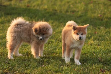 265410985 5133133566714882 3027390900389504714 n