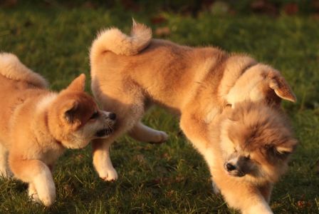 265419408 5133133190048253 4146228142920894811 n