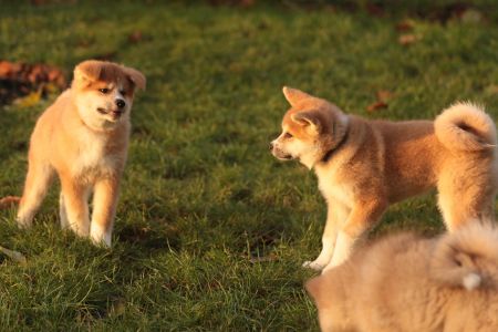 265564934 5133134886714750 6606850616759443479 n