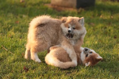 265580492 5133133403381565 5197140579530030243 n