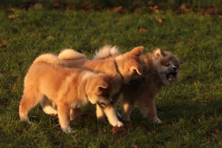 265586716 5133133596714879 9136594520759592160 n