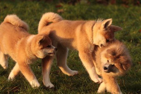 265706373 5133133323381573 6035210029160479999 n