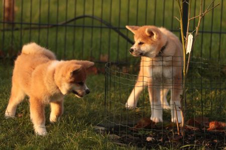 265706378 5133133526714886 4341935117932574384 n