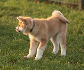 265750945 5133133050048267 8611946484766640644 n